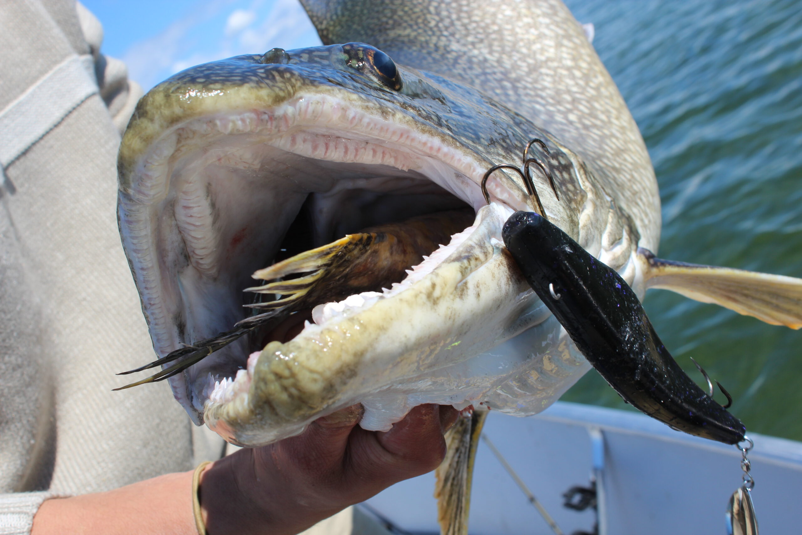 command ceiling hook weight Amazon.com: 3CT Ceil Hooks4 : Home & Kitchen Organize your home damage road_trip_board_set Carbon Fiber Spinning Fishing SKU:TLD20
